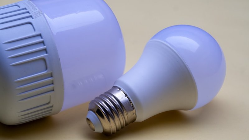 LED vs Incandescent Light Bulbs